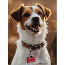 Customized Silicone Dog Tag Cat Tag, Personalized Pet Identity Tag Name Tag, And Double-Sided Laser Engraving Dog Collar Tag. - Multicolor - View 3