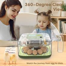 12 Eggs Incubator For Hatching Eggs, Temp And Humidity Control, 360°View Auto Water Adding, Egg Candler Egg Turning Countdown Hatching Days Display Incubators For Hatching Chickens Ducks Quails Eggs - Green - View 8