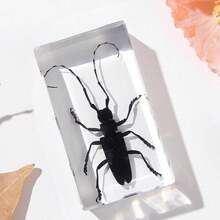 1 szt. (7,3 cm) przezroczysta żywica owad nosorożec chrząszcz pająk skorpion stonoga, ośmiokątny pająk potwór kreatywne ozdoby na biurko, model gigantycznego chrząszcza stonogi z lasu pierwotnego, magiczna natura prawdziwa rzadka odmiana owadów, wysoka przezroczystość, trwała konserwacja, przezroczysta żywica naturalny owad kreatywne małe ozdoby, prezent, dla miłośników owadów
