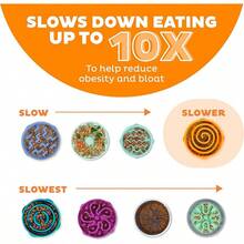 EWAJFBVOutward Hound Fun Feeder Slo Bowl, Medium Slow Feeder Dog Bowl, 2 Cups, Blue - trái cam - Xem 4