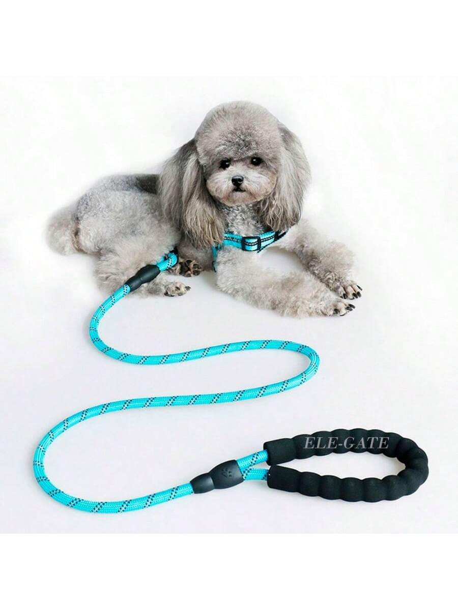Correa para perros de PVC