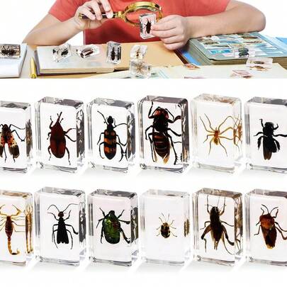 1 szt. (7,3 cm) przezroczysta żywica owad nosorożec chrząszcz pająk skorpion stonoga, ośmiokątny pająk potwór kreatywne ozdoby na biurko, model gigantycznego chrząszcza stonogi z lasu pierwotnego, magiczna natura prawdziwa rzadka odmiana owadów, wysoka przezroczystość, trwała konserwacja, przezroczysta żywica naturalny owad kreatywne małe ozdoby, prezent, dla miłośników owadów