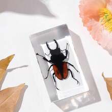 1 szt. (7,3 cm) przezroczysta żywica owad nosorożec chrząszcz pająk skorpion stonoga, ośmiokątny pająk potwór kreatywne ozdoby na biurko, model gigantycznego chrząszcza stonogi z lasu pierwotnego, magiczna natura prawdziwa rzadka odmiana owadów, wysoka przezroczystość, trwała konserwacja, przezroczysta żywica naturalny owad kreatywne małe ozdoby, prezent, dla miłośników owadów