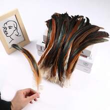 50pcs 20-25cm Natural Rooster Tail Feathers, Bulk For DIY Crafts, Hats, Costumes, Holiday Party Decorations (Natural) - Multicolor - View 4