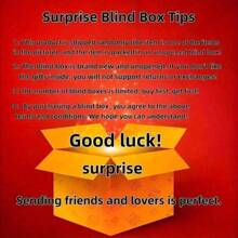 You Will Receive 2025 Mystery Surprise Random Box - 100% Random Product |     1 Random Item Sent, Perfect For Everyday Use And Gift-Giving Occasions, Birthdays, And Holiday Party Game Events!