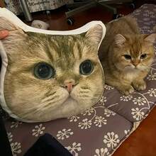 定制人脸抱枕 - 个性化幽默照片抱枕，逼真的猫/狗肖像，生日、情人节、圣诞节、万圣节、感恩节的理想趣味礼物