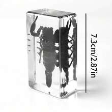 1 szt. (7,3 cm) przezroczysta żywica owad nosorożec chrząszcz pająk skorpion stonoga, ośmiokątny pająk potwór kreatywne ozdoby na biurko, model gigantycznego chrząszcza stonogi z lasu pierwotnego, magiczna natura prawdziwa rzadka odmiana owadów, wysoka przezroczystość, trwała konserwacja, przezroczysta żywica naturalny owad kreatywne małe ozdoby, prezent, dla miłośników owadów