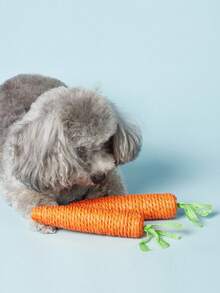 PETSIN 1入貓咪玩具寵物咬咬玩具,可愛的紙繩胡蘿蔔形互動貓咪玩具,用於娛樂和紓解壓力,耐咬 - 橘色 - 查看 8