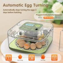 12 Eggs Incubator For Hatching Eggs, Temp And Humidity Control, 360°View Auto Water Adding, Egg Candler Egg Turning Countdown Hatching Days Display Incubators For Hatching Chickens Ducks Quails Eggs - Green - View 7