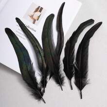 50pcs 20-25cm Natural Rooster Tail Feathers, Bulk For DIY Crafts, Hats, Costumes, Holiday Party Decorations (Natural) - Multicolor - View 8