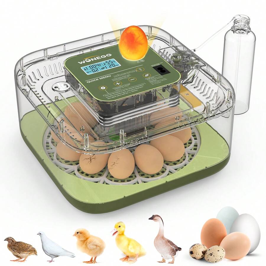 12 Eggs Incubator For Hatching Eggs, Temp And Humidity Control, 360°View Auto Water Adding, Egg Candler Egg Turning Countdown Hatching Days Display Incubators For Hatching Chickens Ducks Quails Eggs