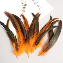 50pcs 20-25cm Natural Rooster Tail Feathers, Bulk For DIY Crafts, Hats, Costumes, Holiday Party Decorations (Natural) - Multicolor - View 7