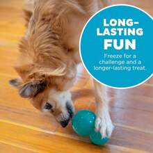 Outward Hound By Planet Dog Double-Tuff Interactive Treat-Dispensing Dog Toy, Medium, Blue