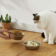 4 件/1 件优质不锈钢宠物碗，易于清洁的猫粮和狗粮碗内衬 - 銀色 - 查看 4