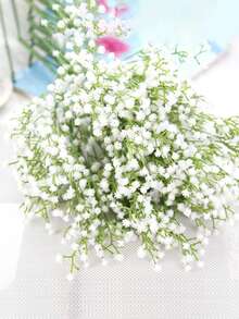 Gypsophile à longue tige blanche