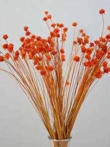 15/30/60 piezas de pequeñas flores silvestres secas, margaritas de colina secas, materiales para arreglos florales secos, materiales para ramos de boda DIY, decoración del hogar y la boda