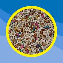 Premium Parakeet Food, 5.0 Lb. Stay Fresh Jar - 1 - Xem 5