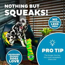 Outward Hound Durablez Stuffing-Free Squeaky Interactive Dog Toy, Tough Plush, Gecko, Green, Large - ColorC - 查看 4