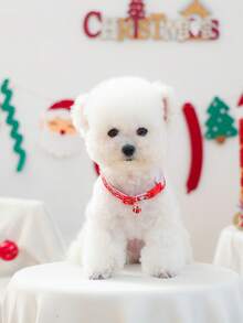 PETCIRCLE 1pc Pet Accessory Dog Cat Small Dog Puppy Happy Puppy Teddy Bichon Pomeranian Cute Casual Fashion Accessory Christmas Gift Box Collar - Multicolor - View 2
