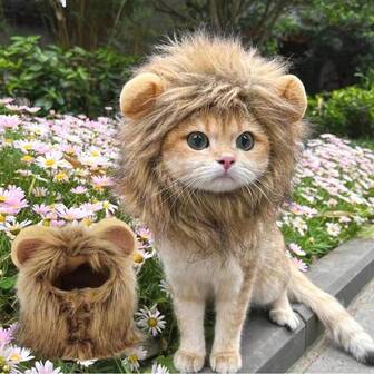 New Cute Funny Pets Clothes Cap Cute Cat Wig Lion Mane Costume Cosplay Kitten Dog Hat With Ears Fancy Party Supplies