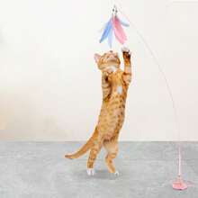 Đồ chơi gặm cho mèo siêu vui nhộn, trang trí lông vũ nhiều màu sắc, đồ chơi giải phóng năng lượng cho mèo, đồ chơi nhai có đồng hồ và giác hút, đồ dùng tương tác cho mèo, thích hợp để dán trên gạch và kính!!! Trước khi sử dụng, hãy đảm bảo làm sạch bề mặt giác hút và bề mặt nhẵn để thấm hút!!! - Nhiều màu - Xem 3