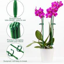 Herramientas para Bonsái