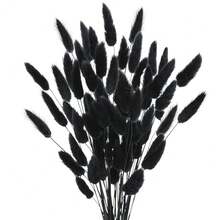 17 Natural Bunny Tails Dried Flowers, 120 Pcs Dried Lagurus Ovatus, Dried Blue Pampas Grass Decor For Farmhouse Flower Arrangements Wedding Home Party Decorations-544931 - Đen-50 chiếc - Xem 1