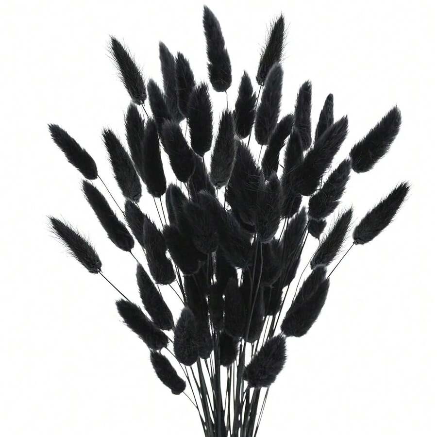 17 Natural Bunny Tails Dried Flowers, 120 Pcs Dried Lagurus Ovatus, Dried Blue Pampas Grass Decor For Farmhouse Flower Arrangements Wedding Home Party Decorations-544931 - Đen-50 chiếc - Xem 1