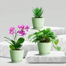 6 Inch Plant Pots 6 Pack Flower Pots For Indoor And Outdoor Use Planters With Drainage Holes And Saucers Black - 綠色 - 查看 6