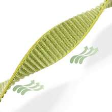 1pc Stretchy Nylon Braided Strap Compatible With Apple Watch Band Women/Men 40mm 42mm 41mm 38mm 44mm 46mm 45mm 49mm,Elastic Fabric Sport Solo Loop Bracelet Wristband Compatible With IWatch Bands Series 10/9/8/7/6 5/4/3/SE/2nd Generation/Ultra/2 Smartwatch Accessories