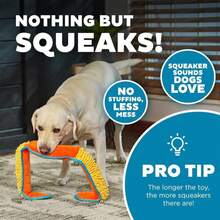 Outward Hound Durablez Stuffing-Free Squeaky Interactive Dog Toy, Tough Plush, Gecko, Green, Large - ColorD - View 4