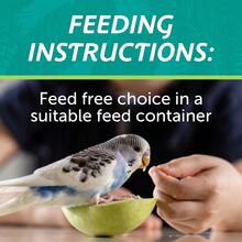 Small Breed Everyday Blend Dry Bird Food, For Parakeets, Canaries And Finches; 3 Lb. Bag - 1 - 查看 4