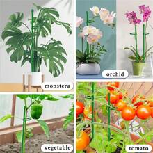 10/20入 植物支撐桿 綠色植物支撐棒 適用於室內外盆栽 番茄 牡丹 百合 玫瑰等花卉蔬菜植物 - 綠色 - 查看 3