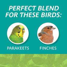 Small Breed Everyday Blend Dry Bird Food, For Parakeets, Canaries And Finches; 3 Lb. Bag - 1 - 查看 2