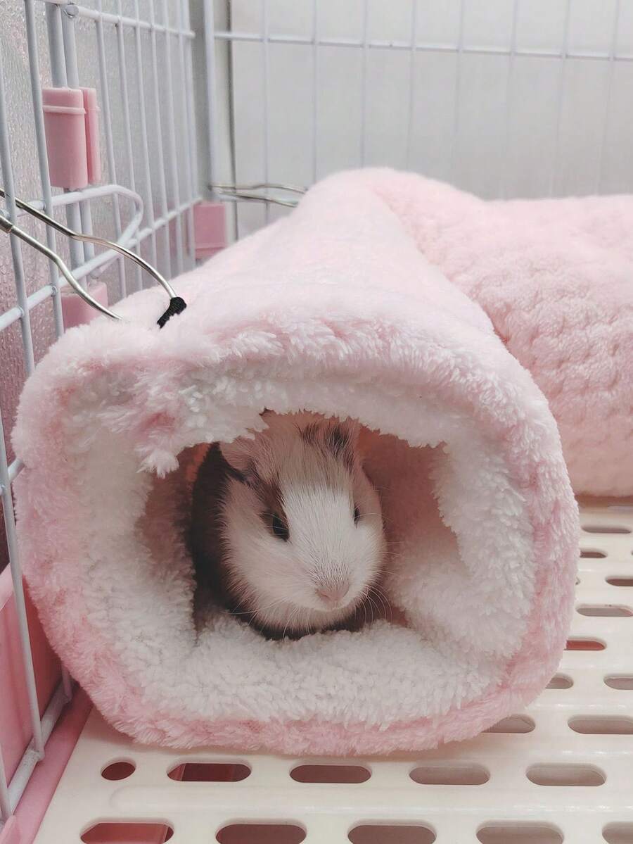 3pcs Sugar Glider Double-Layer Hammock, Ferret Hideaway Tunnel House, Pet Mat Combo Set, Suitable For Small Pets Like Sugar Glider, Hamster, Rabbit