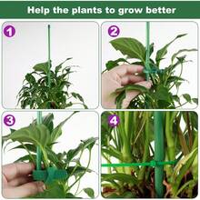 Herramientas para Bonsái