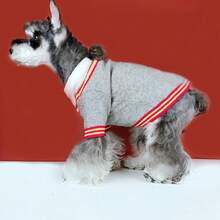 1pc V-Neck Pet Sweater For Small Dogs, Gray Knitted Cat Clothes, Anti-Shedding, Suitable For Outdoor And Indoor Wear