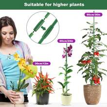 Herramientas para Bonsái