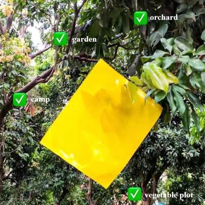 1/2/3/5pcs | Premium Sticky Trap | Greenhouse/Garden Owners | Pest Control | Yellow/Blue Insect Catcher
