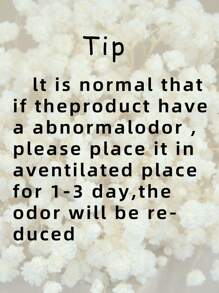 25/50/100/300 件迷你满天星花及其他干花 - 适用于树脂模具艺术工艺品，象牙白花束，可用作发饰、婚礼花环、桌花瓶、家居装饰