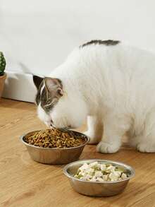 1pc/2pcs Stainless Steel Cat/Dog Bowl, Pet Feeding Bowl, Anti-Slip Anti-Bite Durable