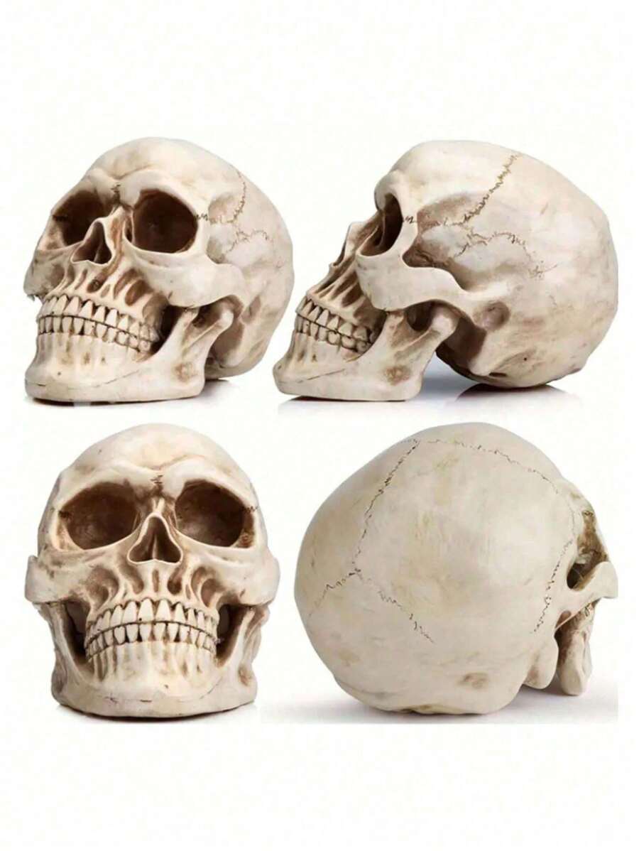 1pc Life-Size Resin Skeleton Decoration, Halloween Table Decor, Wedding Decor, Birthday Party Decoration, Realistic Adult Skull Model, Gothic Halloween Room Decor, Smiling Face - Multicolor - View 1