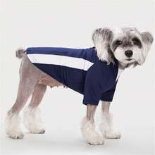 2-Legged Pullover Sweatshirt With Contrast Raglan Sleeves For Small/Medium Dogs & Cats, Soft & Comfortable, Suitable For Spring/Autumn - Green - View 6