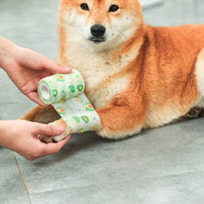 1 قطعة ضمادة لاصقة للحيوانات الأليفة، أفوكادو، العرض S 5 سم/M 7.5 سم، الطول 450 سم