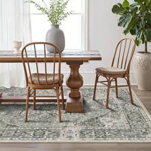 Carpet Area Rug Washable Rug Large Modern Abstract Living Room Rug Winter Warm Soft Anti-Skid Thin Carpet Indoor Floor Non-Shedding Carpets For Bedroom Dining Room Home Office Decor - 薄荷綠 - 查看 6