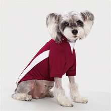 2-Legged Pullover Sweatshirt With Contrast Raglan Sleeves For Small/Medium Dogs & Cats, Soft & Comfortable, Suitable For Spring/Autumn - Green - View 4