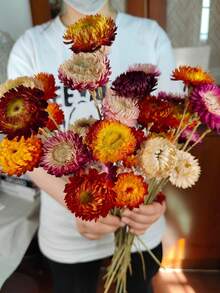 5/10/20支混合装干麦秆菊花束，带茎干麦秆菊花头，干花摆件，家居装饰，婚礼花艺装饰