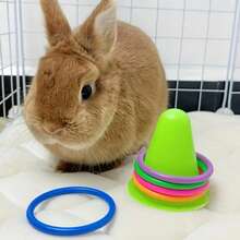 Rabbit Boredom Relief Toy, Rabbit Grinding Toy, Ring Toy, Puzzle Rabbit, Guinea Gnawing And Venting Ice Cream Bucket, 5 Rings Of Random Color Are Given As Gifts