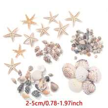 [740/1000 Piezas] Juego de artesanía de mini conchas y estrellas de mar - [Consulte las imágenes del SKU para confirmar el producto que compra] Adecuado para manualidades, joyería DIY, figuras de animales, marcos, decoración del hogar, fiesta con tema de playa, decoración de bodas, relleno de acuarios y jarrones, etc. - Multicolor - Ver 2