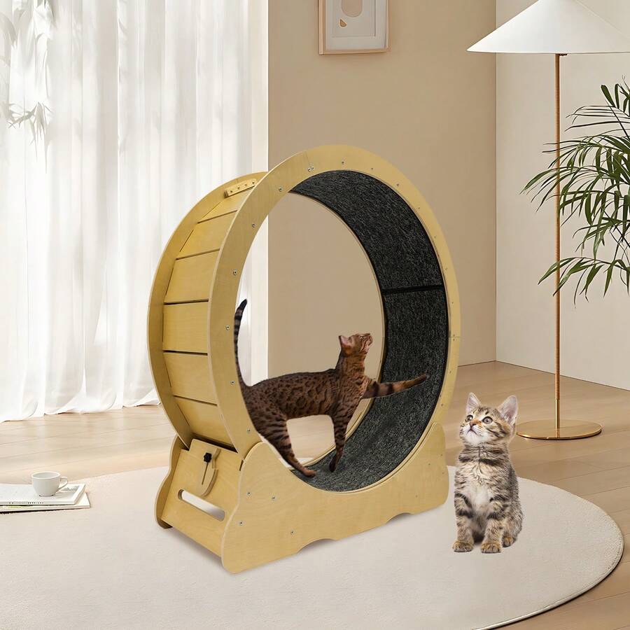 Cat Wheel Cat Exercise Wheel Cat Exercise Wheel For Indoor Cats - Camel - View 1